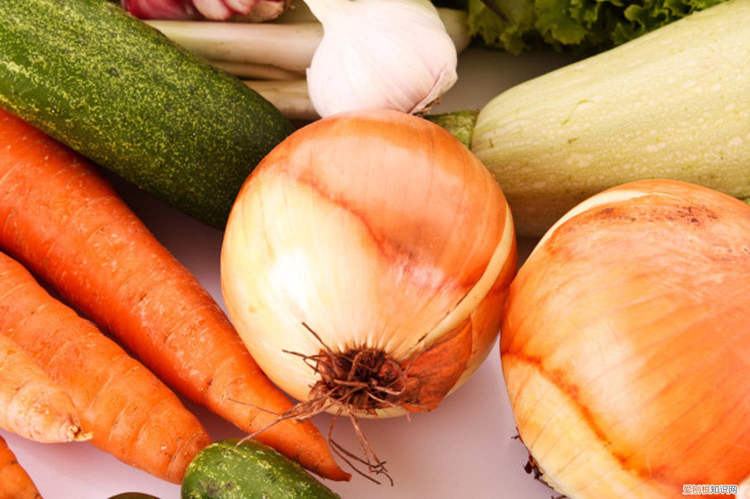 水培洋葱的方法图片 水培洋葱的方法