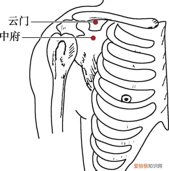国医大师吕景山出诊时间