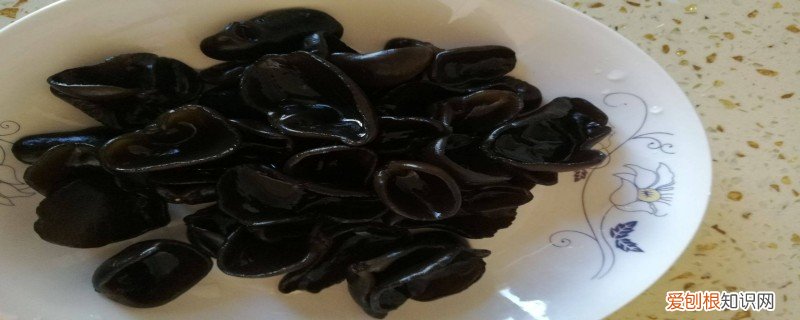 什么蔬菜能榨出黑色的汁来 什么蔬菜能榨出黑色的汁