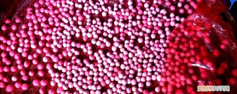 红圆是什么标志 红圆是什么东西 什么是红圆