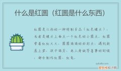 红圆是什么标志 红圆是什么东西 什么是红圆