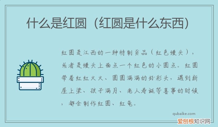 红圆是什么标志 红圆是什么东西 什么是红圆