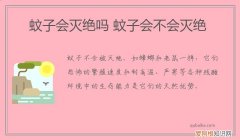 蚊子会灭绝吗 蚊子会不会灭绝