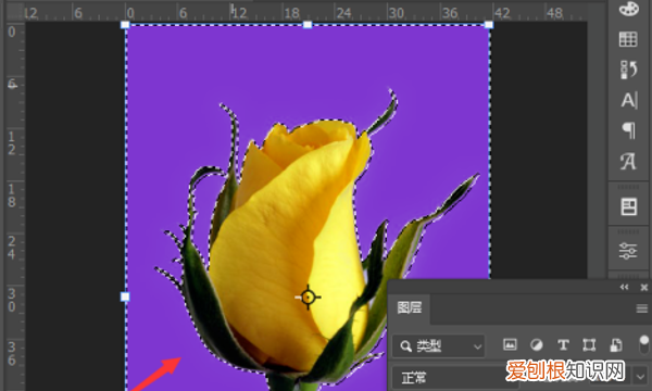 照片怎么换背景图,如何将照片换个背景