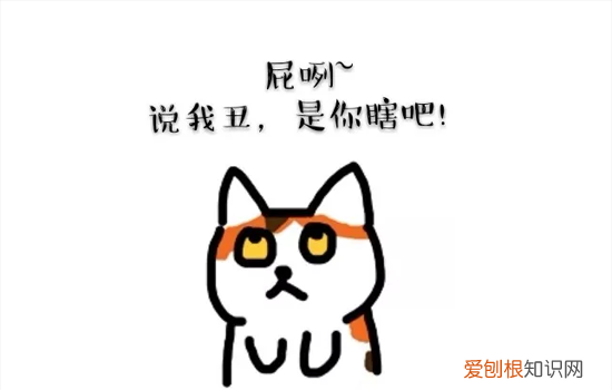 三花猫是土猫吗 你知道三花猫就是招财猫吗