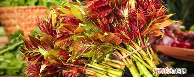 香椿可以放冰箱冷冻吗 香椿可以冷冻吗