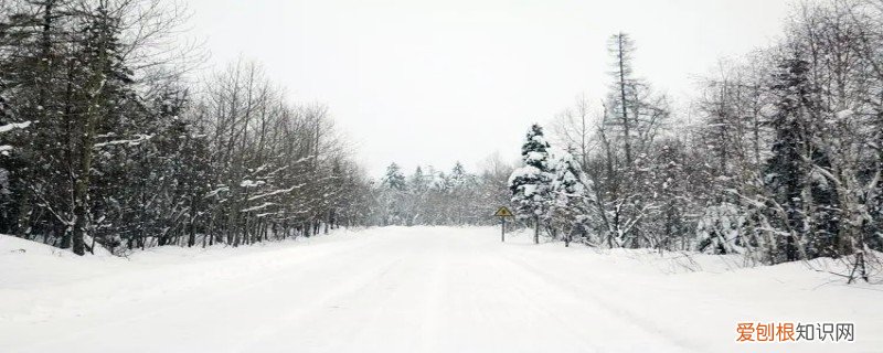 雪形成的原因是什么? 雪形成的原因是什么