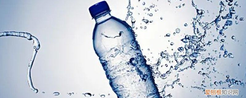 矿泉水容易滋生细菌吗 开水有细菌多还是矿泉水细菌多