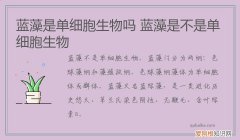 蓝藻是单细胞生物吗 蓝藻是不是单细胞生物