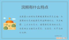 小浣熊有什么特点 浣熊有什么特点