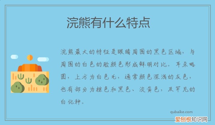 小浣熊有什么特点 浣熊有什么特点