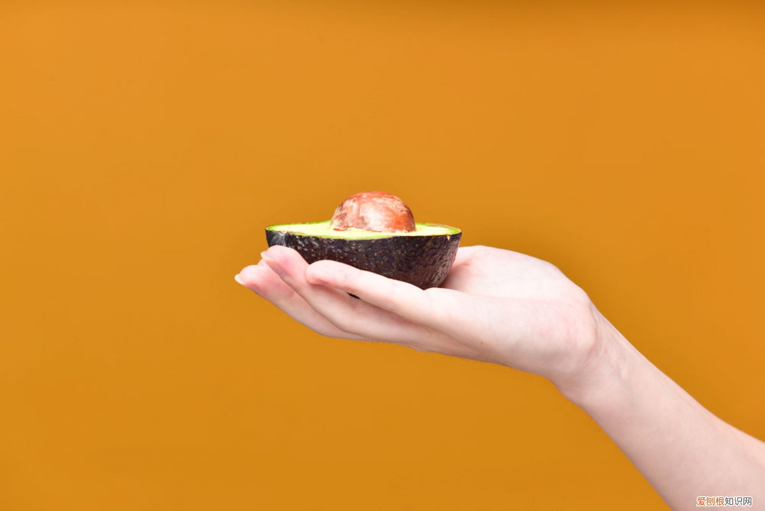 牛油果的主产地在哪里 牛油果怎么种，牛油果产地是哪里的