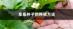买来的草莓种子的种植方法和时间 草莓种子的种植方法，草莓种植时间和方法