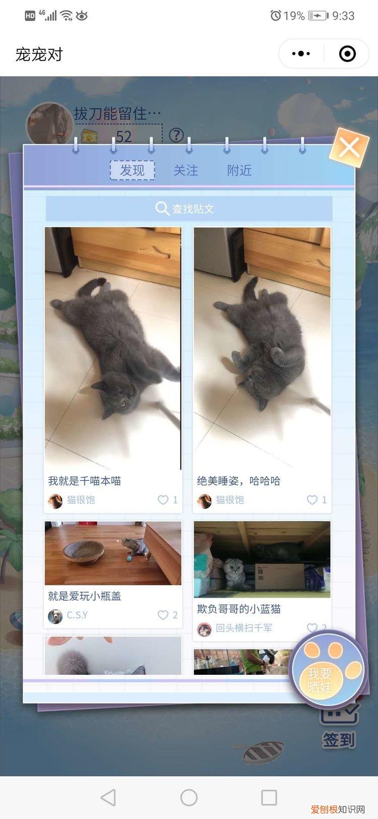 宠物十问十答