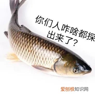 生活中的化学手抄报图片，有趣的化学知识