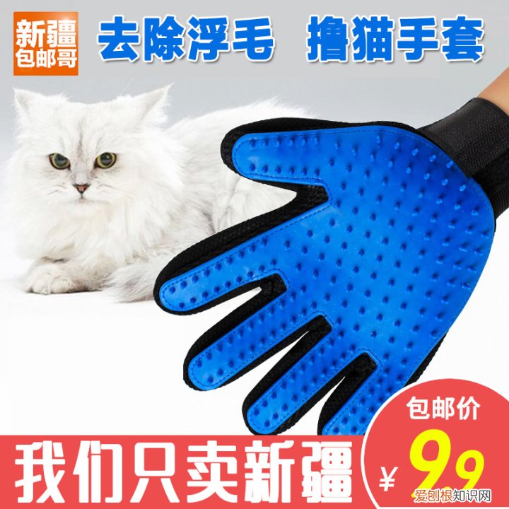 第一次养猫要准备什么?，第一次养猫需要准备什么以及了解哪些知识？