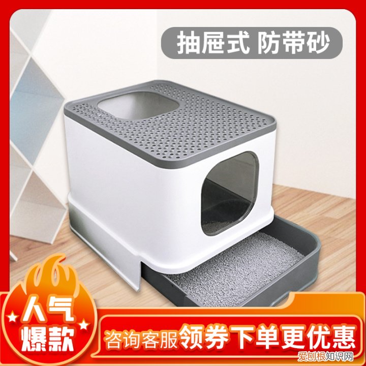 第一次养猫要准备什么?，第一次养猫需要准备什么以及了解哪些知识？