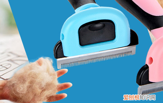 猫猫梳毛的好处 猫用什么是梳毛效果最好,长毛猫梳毛用哪种梳子比较好