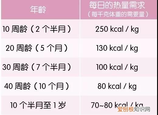 猫一天需要多少热量 控制热量才不会变成小胖猫