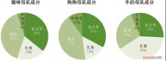 小猫怎么喂奶粉 给小猫喂奶的正确姿势