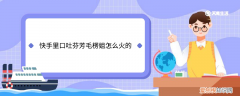 快手里口吐芬芳毛楞姐怎么火的 快手里口吐芬芳毛楞姐如何火的