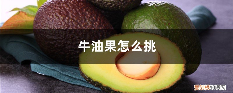 牛油果要怎么挑 牛油果怎么挑，牛油果怎么切