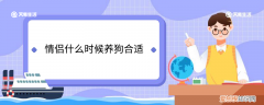情侣什么时候养狗合适 情侣什么时候养狗最合适