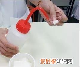 猫眼睛的分泌物怎么清理 清理猫眼有方法!