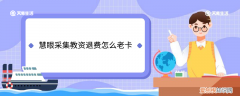 慧眼采集教资退费怎么老卡 慧眼采集教资退费为什么老卡