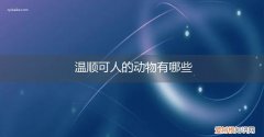 温顺可爱的动物有哪些 温顺可人的动物有哪些