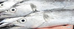 黑眼和黄眼带鱼的区别 白眼带鱼和黄眼带鱼有什么区别