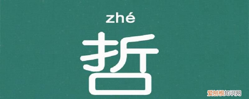 浩哲的意思 哲浩的寓意