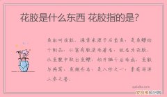 花胶是什么东西 花胶指的是？
