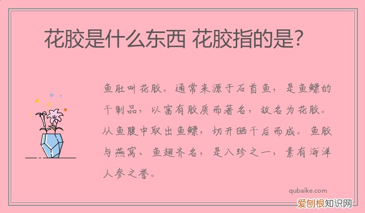 花胶是什么东西 花胶指的是?