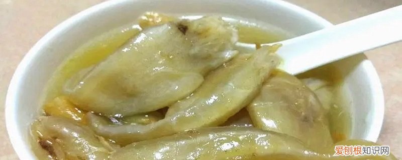 花胶是什么东西 花胶指的是?