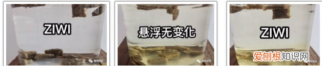 巅峰猫粮好不好 猫吃的巅峰猫粮怎么样,滋益巅峰猫粮怎么样,巅峰牛肉猫粮怎么样