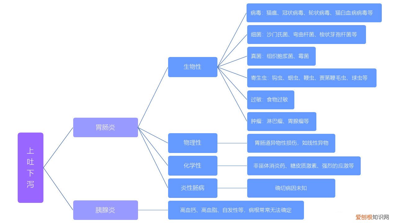 猫咪上吐下泻能自愈吗,猫上吐下泻会自愈吗,猫咪上吐下泻可以自愈吗
