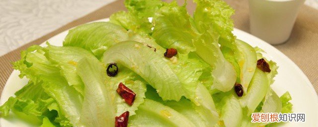 生菜怎么养 生菜如何养殖