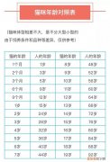 一只猫能活多少年? 猫可以活多少年,一只猫可以活多少年,猫咪可以活多少年