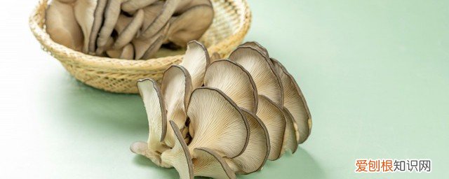 蘑菇怎么养殖 蘑菇怎么种植方法