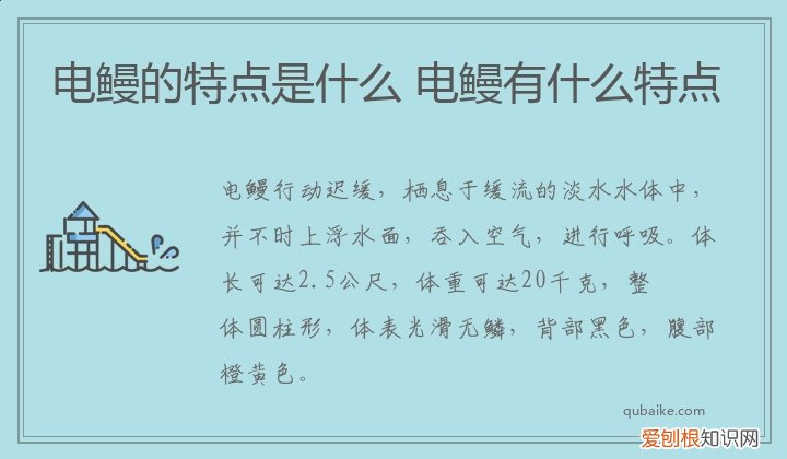 电鳗的特点是什么 电鳗有什么特点