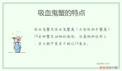 紫色吸血鬼蟹 吸血鬼蟹的特点