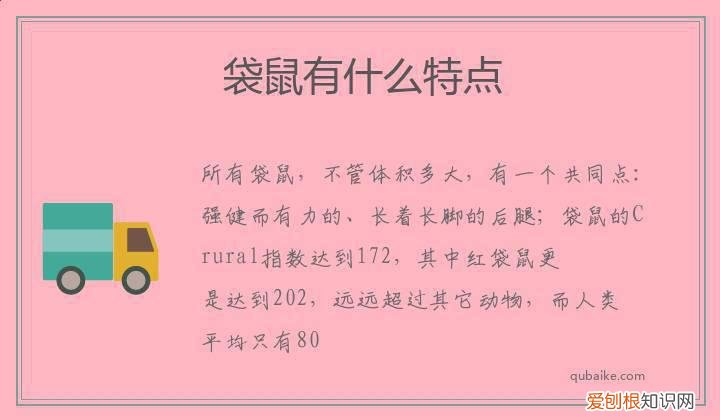 袋鼠有什么特点,至少三个 袋鼠有什么特点