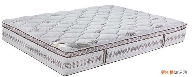 床垫里有小虫子该怎么办 床垫上有小虫子有什么解决方法