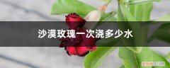 沙漠玫瑰多长时间浇水一次 沙漠玫瑰一次浇多少水