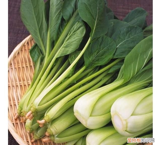 普通炒菜有哪些菜，除了炖菜还有什么炒菜是比较清淡的