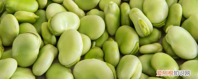 蚕豆生的可以放冰箱吗 蚕豆可以冷冻吗