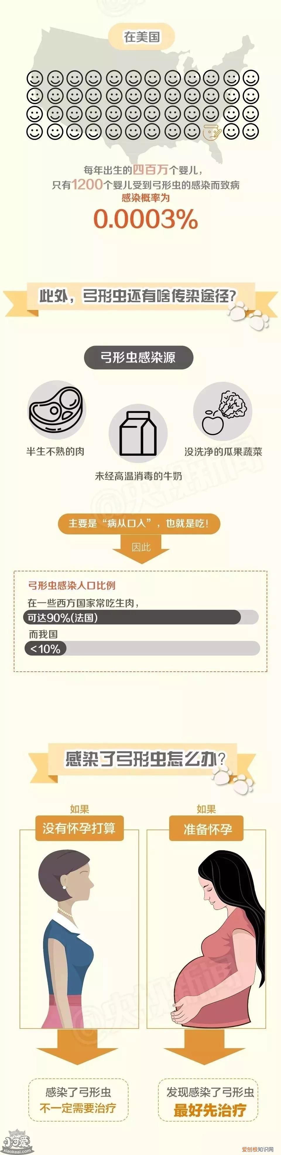 央视辟谣怀孕不能养猫,央视辟谣怀孕生娃不能养宠,央视辟谣怀孕养宠物