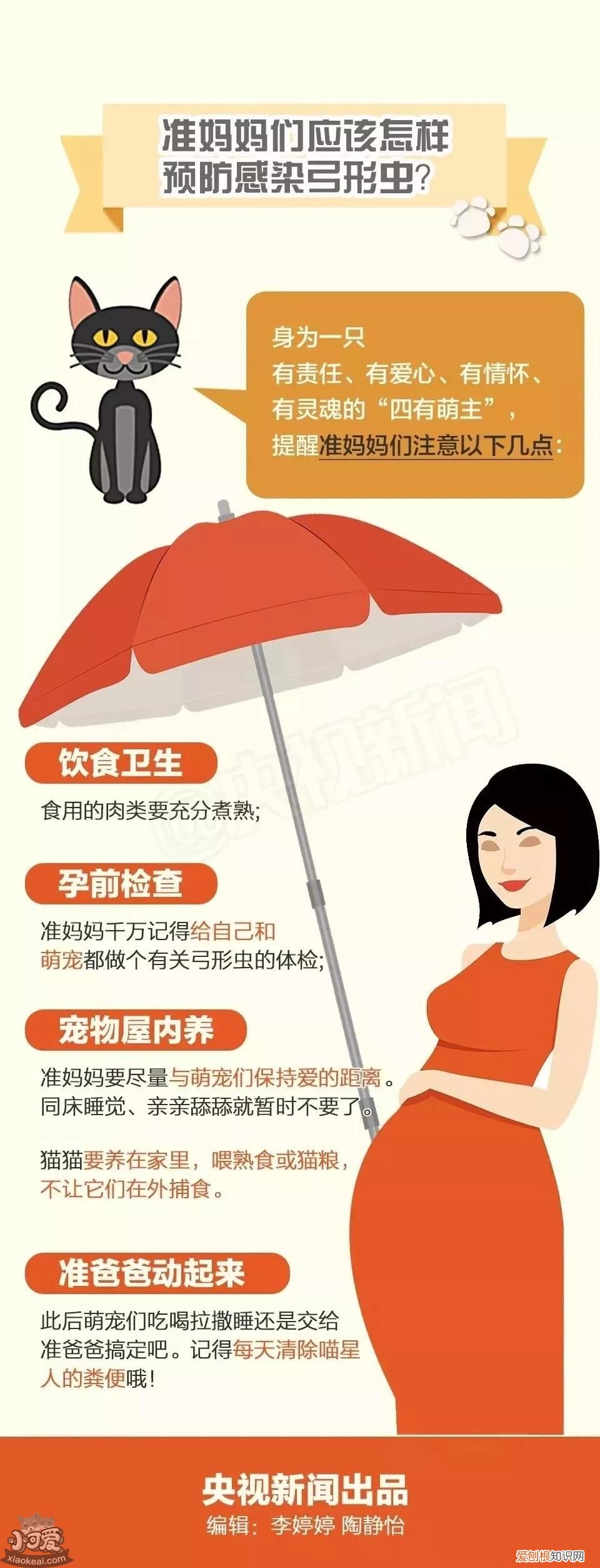 央视辟谣怀孕不能养猫,央视辟谣怀孕生娃不能养宠,央视辟谣怀孕养宠物