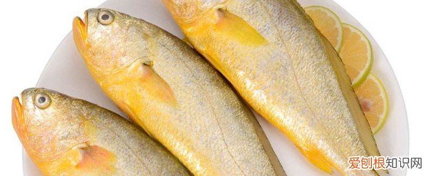 黄鱼怎么挑新鲜的 黄鱼如何挑选新鲜的呢